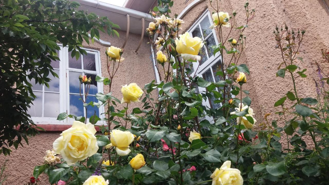 Chimneys B&B 奥玛鲁 外观 照片